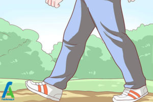 8 درمان و پیشگیری از عفونت کرم قلابدار